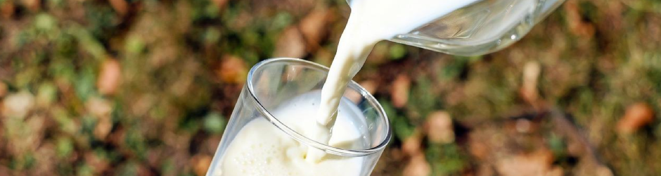 Différence allergie et intolérance lactose